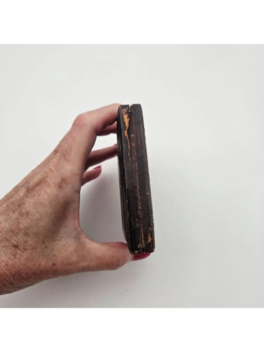 Antique Leather Red Velvet Pheasant Scene Daguerreotype Case